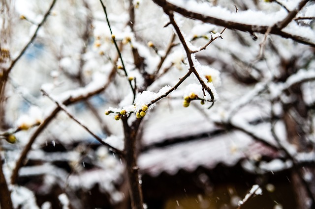 兩人在不同